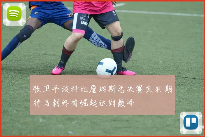 张卫平谈科比詹姆斯总决赛失利期待马刺终将崛起达到巅峰
