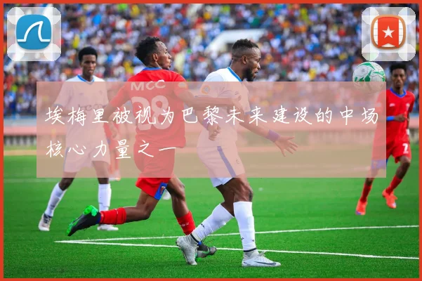 埃梅里被视为巴黎未来建设的中场核心力量之一